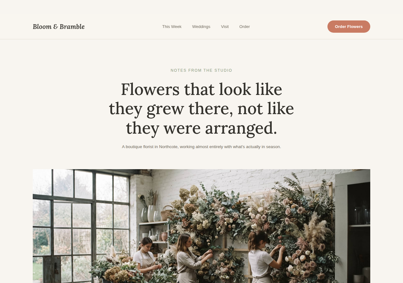 Soft & Editorial direction preview